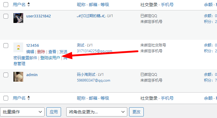 图片[1]-子比主题 – 后台以该用户登陆-码小淘网络