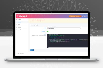 子比主题 – 自定义代码美化插件-码小淘网络