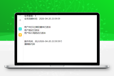 WordPress网站所有用户批量设置为VIP会员的代码-码小淘网络