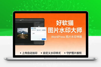 子比主题 — 好软猫图片水印大师插件-码小淘网络