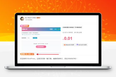 子比主题 — 付费增加限量销售-码小淘网络