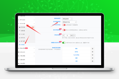子比主题 — 哆啦宝支付插件-码小淘网络
