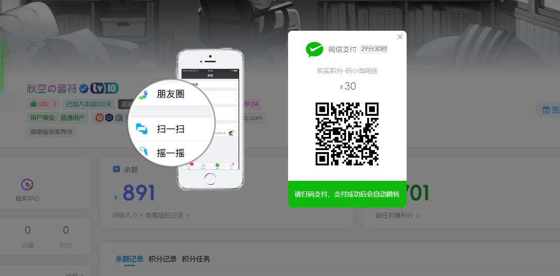 图片[1]-子比主题 — 伪易支付对接插件-码小淘网络