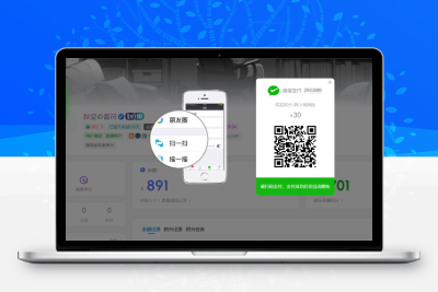 子比主题 — 伪易支付对接插件-码小淘网络