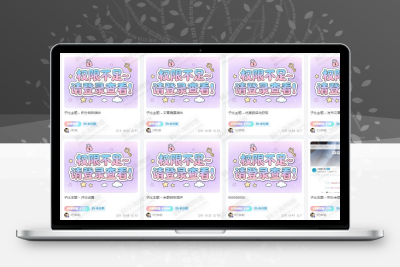 子比主题 — 文章付费标签美化-码小淘网络